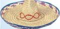 Rental store for HAT STRAW SOMBRERO in Kingsport TN