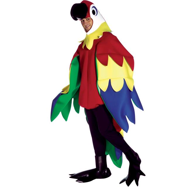 Rental store for PARROT   ADULT in Kingsport TN