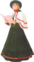 Rental store for CAROLER,  CAPE   HAT  GREEN in Kingsport TN