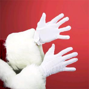 Rental store for SANTA WHITE GLOVES in Kingsport TN
