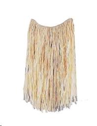 Rental store for GRASS SKIRT in Kingsport TN