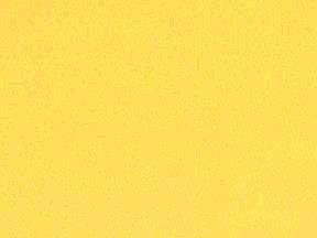 Rental store for LINEN,  LIGHT YELLOW  90 RD in Kingsport TN