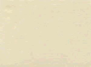 Rental store for LINEN, IVORY POLY in Kingsport TN