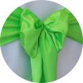 Rental store for CHAIR SASH,  LIME  4 INCH in Kingsport TN