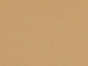 Rental store for LINEN, GOLD POLY in Kingsport TN