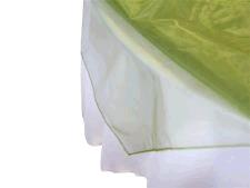 Rental store for LINEN, OVERLAYS-ORGANZA in Kingsport TN