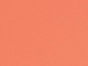 Rental store for LINEN, CORAL POLY in Kingsport TN