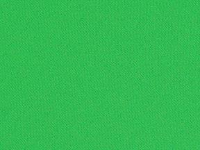 Rental store for LINEN, KELLY GREEN POLY in Kingsport TN