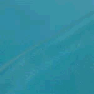 Rental store for LINEN, TURQUOIES POLY in Kingsport TN