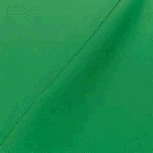 Rental store for LINEN, GREEN POLY in Kingsport TN