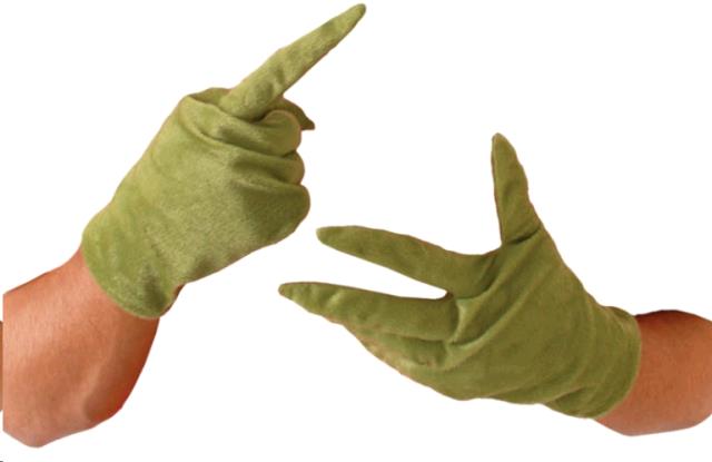 Rental store for GRINCH GLOVES in Kingsport TN