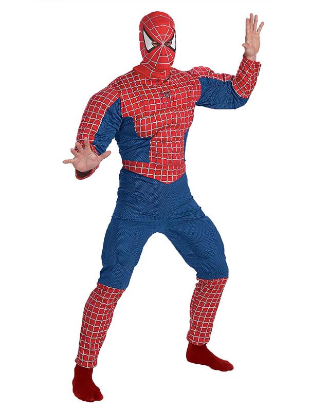 Rental store for SPIDERMAN MUSCLE CHEST  GRAY WEBBING in Kingsport TN