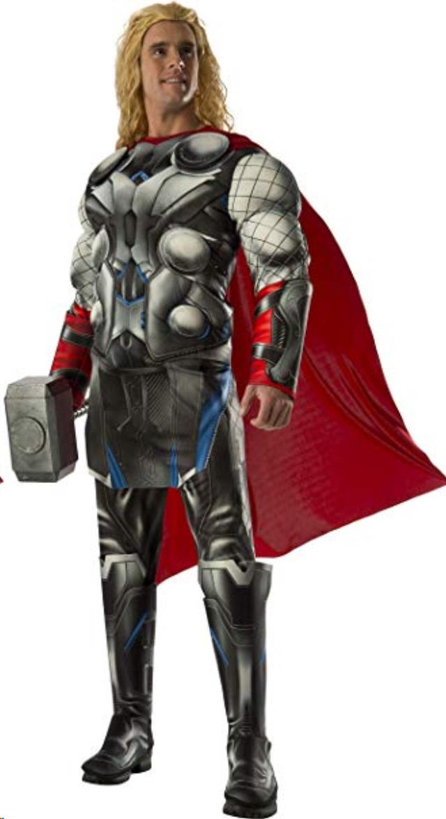 Rental store for DELUXE  THOR in Kingsport TN