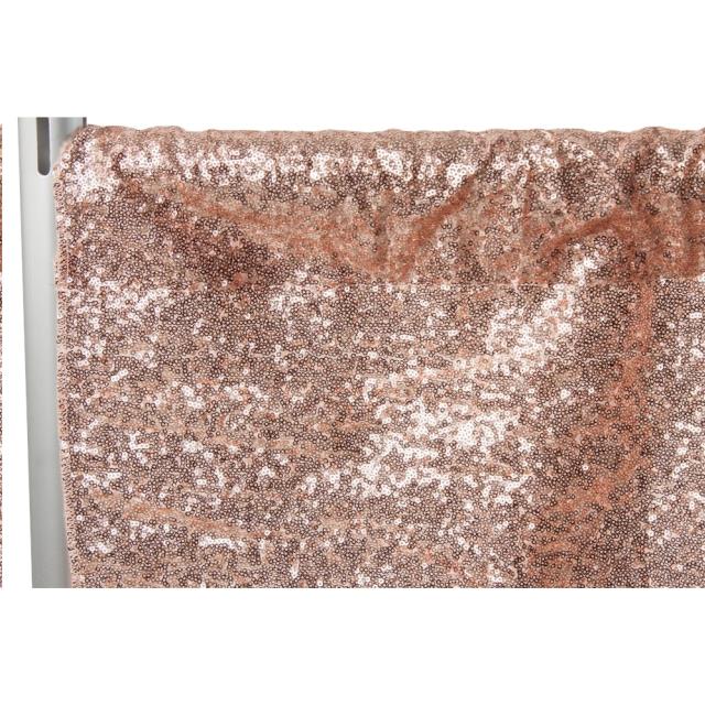 Rental store for DRAPE,  BLUSH SEQUIN  10 X10 in Kingsport TN