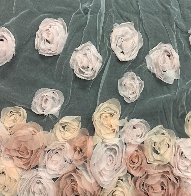 sheer blush roses