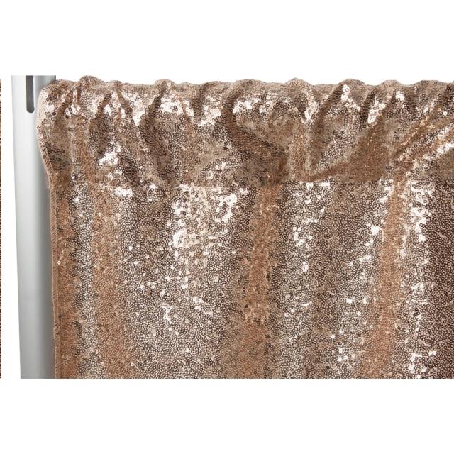 Rental store for DRAPE,  CHAMPAGNE SEQUIN  10 x10 in Kingsport TN