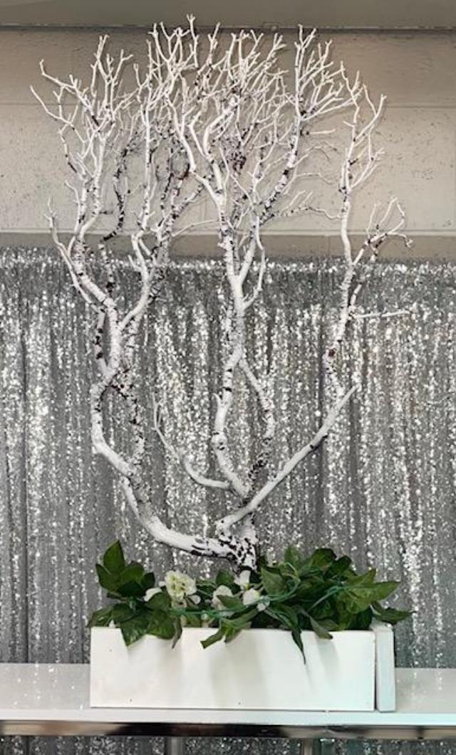 Rental store for CENTERPIECE  WHITE TREE W BASE  33 in Kingsport TN