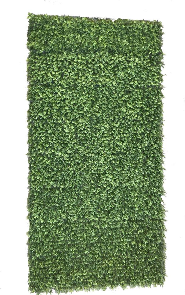 Rental store for GREENERY WALL  8FT X 8 FT  BOXWOOD  ROLL in Kingsport TN
