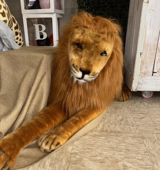 Rental store for MELISSA   DOUG GIANT  LION   6 FT. in Kingsport TN