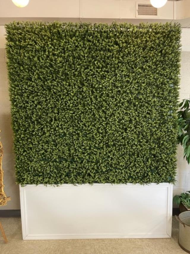 Rental store for GREENERY WALL  FREESTANDING   100 x74 in Kingsport TN