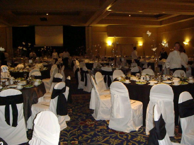 Rental store for CHAIR SASH,  WHITE   4 INCH in Kingsport TN