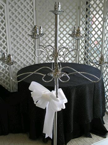 Rental store for CHROME, 9 LITE TREE in Kingsport TN