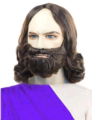 Rental store for BIBICAL BEARD   WIG  BROWN in Kingsport TN