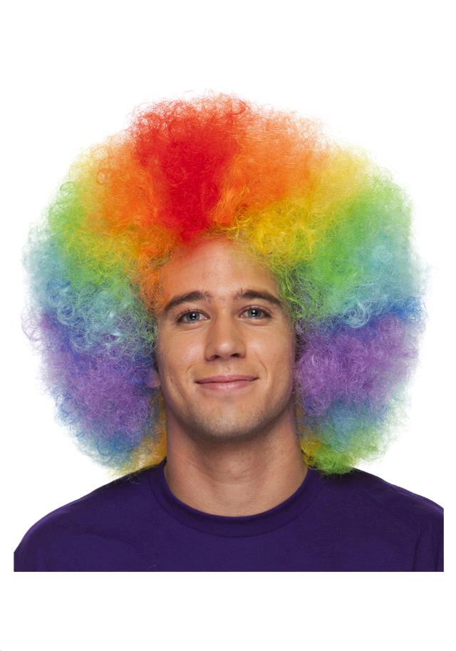 Rental store for WIG, CLOWN,  MULTI-COLORED in Kingsport TN