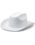 Rental store for HAT,  COWBOY  BLACK in Kingsport TN