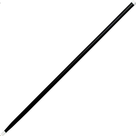Rental store for CANE, PARADE  BLK in Kingsport TN