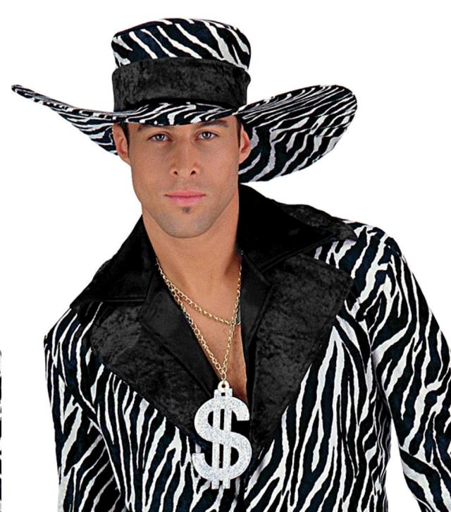 Rental store for HAT, PIMP   BLACK ZEBRA in Kingsport TN