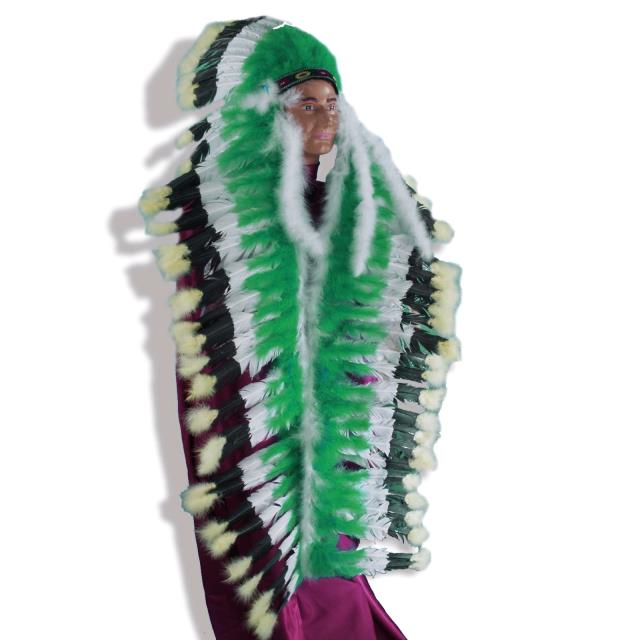 Rental store for DLX INDIAN HEADRESS in Kingsport TN