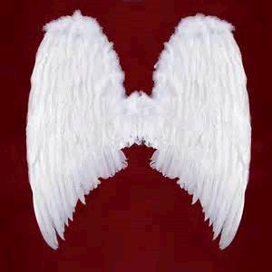 Rental store for ANGEL  FEATHER FUR  ADULT 36 in Kingsport TN