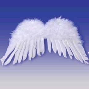 Rental store for ANGEL WINGS  CHILD in Kingsport TN