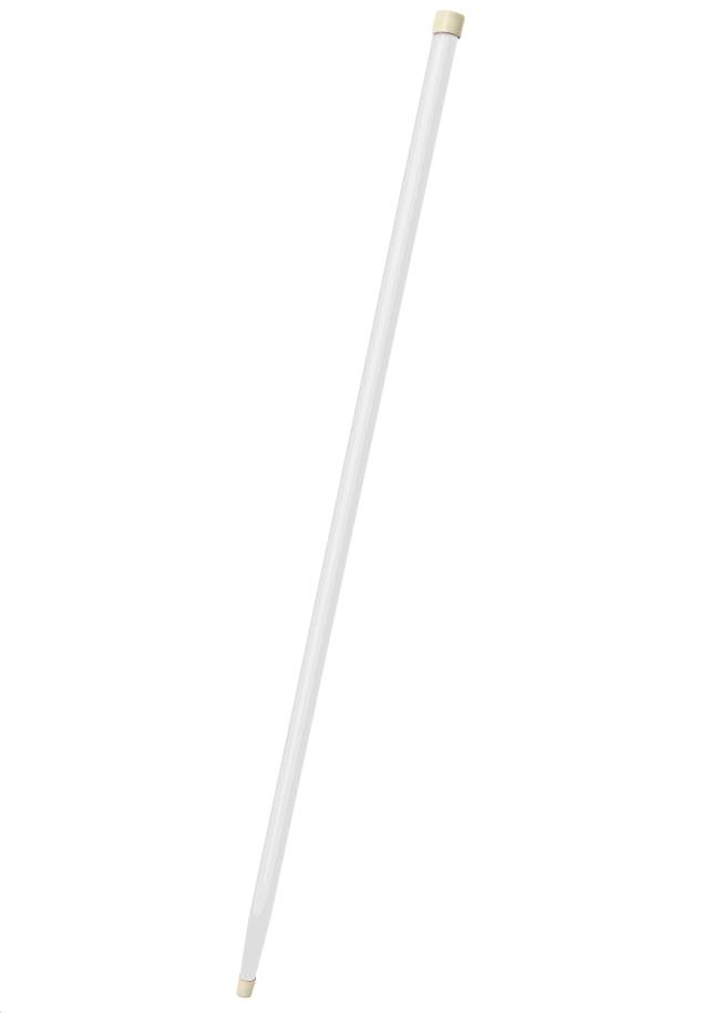 Rental store for CANE, WHITE in Kingsport TN