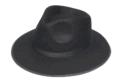 Rental store for HAT, BB FEDORA in Kingsport TN