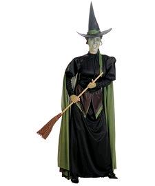 Rental store for WICKED WITCH    ADULT   BLACK in Kingsport TN